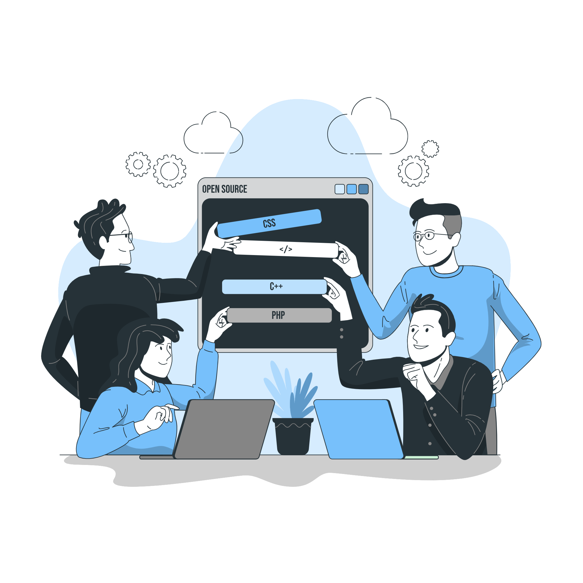 Custom Web Development Solutions